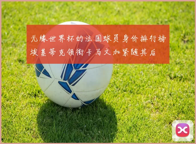 无缘世界杯的法国球员身价排行榜埃基蒂克领衔卡马文加紧随其后